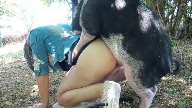 DVDs sexo bizarro Filmes para Download ZOO pornô com animais. vídeos gratuitos de bestialidade porco comendo buceta novinha gostosa brasileira dando a sua buceta para o cavalo Nova tomando uma rolada de porco na vagina