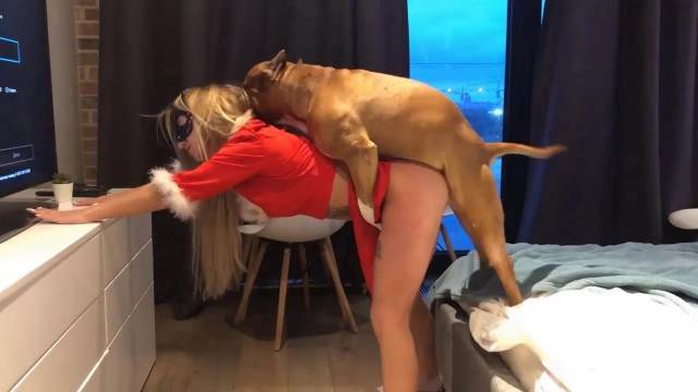 pinto de cavalo cachorro gozando DVDs Lise private club animalsex pornô zoofilia com oral Cachorro fodendo com uma loira muito gostosa Cavalo de Pau Molhado e Mulher Chupando