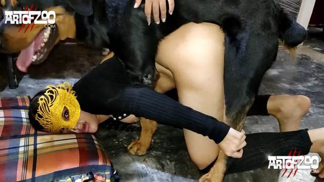peluda  sexo com animais pinto de cavalo dogbond Cachorro fodendo com uma loira muito gostosa Mulher latina fazendo sexo com cavalo Zoofilia com uma loira gostosa Cachorro lambendo buceta molhada