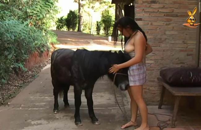 DVDs zoofilia cachorro gozando Cachorro dá um nó na buceta da e engata o pinto até gozar ZOO pornô com animais. vídeos gratuitos de bestialidade Vídeo de sexo bestial grátis Nova tomando uma rolada de porco na vagina
