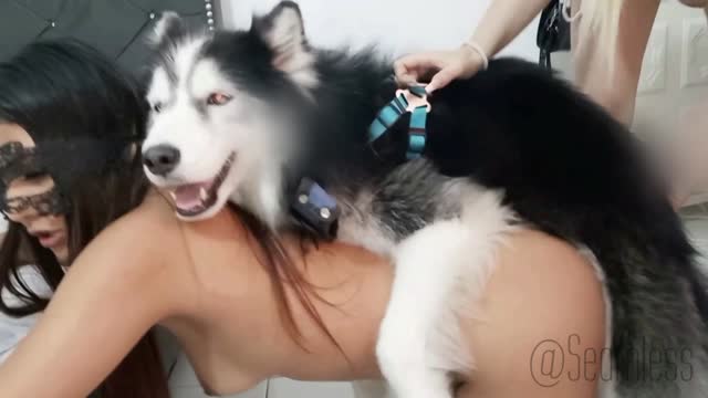 Filmes para Download xoxota fodas com animais zoofilia selvagem ZOO pornô com animais. vídeos gratuitos de bestialidade cavalo gozando na buceta filmes zoofiliade  brasileirinhas