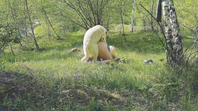 pinto de cavalo cachorro gozando cabeluda porco comendo a buceta Zoosection animalsex Mulher Transando Com Cachorro