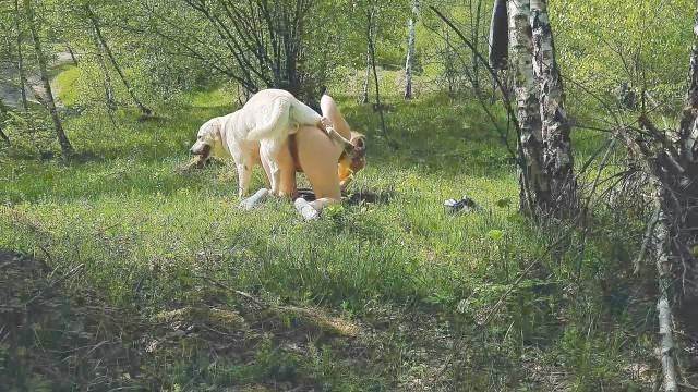 pinto de cavalo cachorro gozando cabeluda pornô zoofilia com oral Cachorro arrombando buceta da dona Filmes Pornô Com Cachorros - Zoofilia Amadora animal sexo tubo