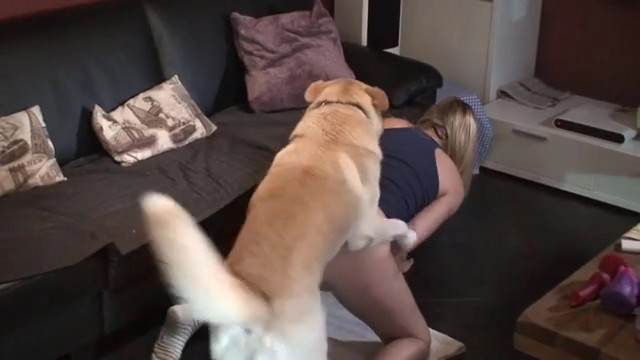 sexo bizarro dogbond pinto de cavalo Filme pornô com um enorme pau de cavalo sexo com cavalos e uma MILF Porno Bizarro - Sexo Gratis sexo bizarro