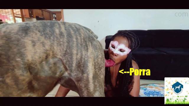 fodas com animais cachorro gozando DVDs Lise private club animalsex site de tubo de sexo zoo animal sexo com cavalos e uma MILF Andy Private Caledonian ,ZOOdelight ,Zooskool ZOOSEX