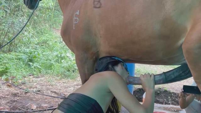 Filmes para Download DVDs cachorro gozando Raven having sex with Dog Puta transando com um cavalo em pé Lise private club animalsex Vídeo de sexo bestial grátis