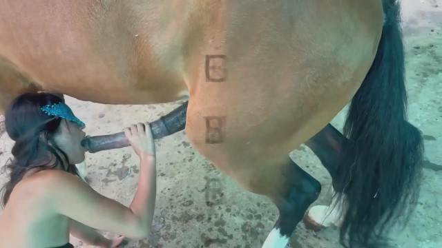 Filmes para Download DVDs cachorro gozando Mulher trepando com cavalão enquanto marido cornao assiste pornô zoofilia com oral Seamless cachorro de pau duro