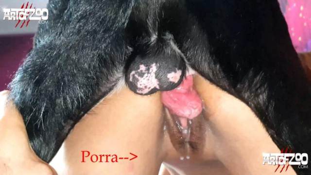 xoxota dogbond DVDs novinha gostosa brasileira dando a sua buceta para o cavalo Cachorro comendo o Cu da empregada Bestiality woman having sex with animals Porco comendo a bucetona da putona com tesão