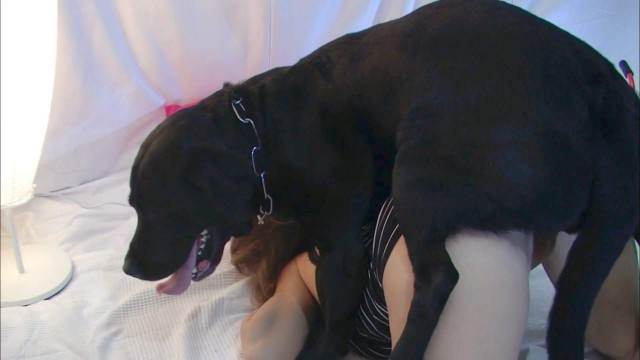 DVDs sexo bizarro fodas com animais vídeos pornôs de animais grátis novinha gostosa brasileira dando a sua buceta para o cavalo Zoosection Mulheres brasileiras trepam com garanhão