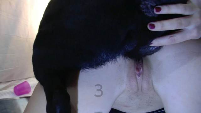 DVDs sexo bizarro fodas com animais alisonprod animal sexo tubo Porno Bizarro - Sexo Gratis Lise private club animalsex