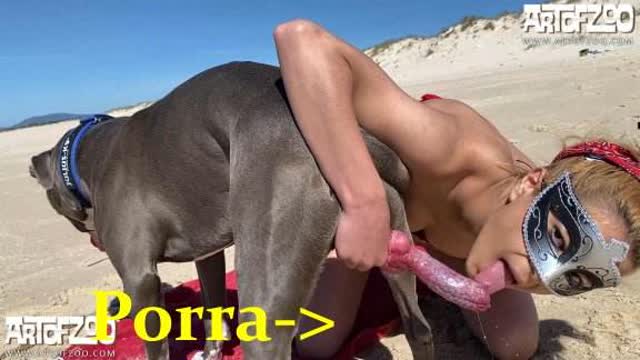 sexo bizarro peluda  sexo com animais pinto de cavalo Cavalo de Pau Molhado e Mulher Chupando sexo com cavalos e uma MILF ZOO pornô com animais. vídeos gratuitos de bestialidade porco comendo buceta
