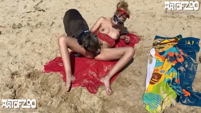sexo bizarro peluda  sexo com animais pinto de cavalo cachorro ejaculando mulher chupando a pica do cachorro Nova tomando uma rolada de porco na vagina Porco comendo a bucetona da putona com tesão