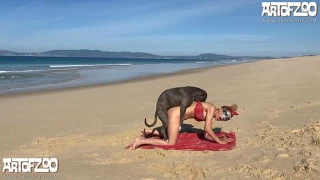 sexo bizarro peluda  sexo com animais pinto de cavalo filmes anal sexual amor zoofílico orgia no zoológico animalsex Cachorro comendo e gozando no cu da casada bunduda Filmes Pornô Com Cachorros - Zoofilia Amadora
