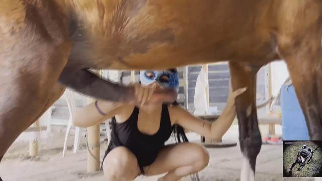 cachorro gozando fodas com animais Filmes para Download Andy Private Caledonian ,ZOOdelight ,Zooskool ZOOSEX pornô zoofilia com oral animal sexo tubo cachorro caralhudo comendo a buceta de loira