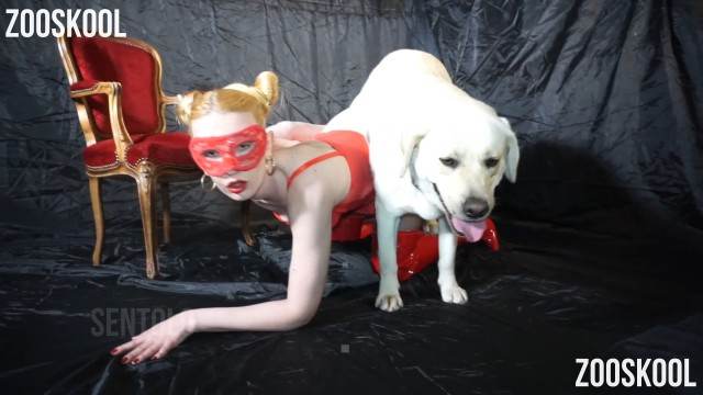 sexo bizarro cabeluda peluda  sexo com animais Nova tomando uma rolada de porco na vagina Porno Bizarro - Sexo Gratis pornografia animal O javali gozador na buceta da garota nova