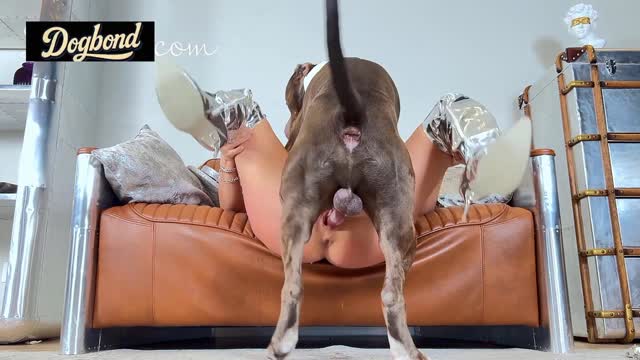 Filmes para Download xoxota fodas com animais Pornô de cavalo gozando dentro de mulher sexo com cavalos e uma MILF novinha gostosa brasileira dando a sua buceta para o cavalo cavalo de pau duro