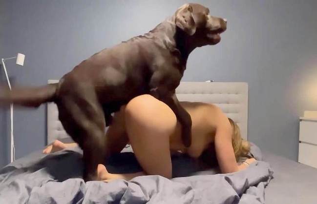 zoofilia cabeluda sexo bizarro animal sexo tubo animalsex k9lady Filme pornô com um enorme pau de cavalo