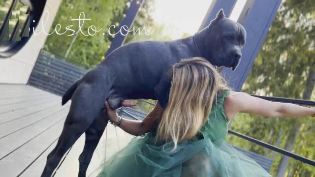zoofilia fodas com animais cachorro gozando Mia, Triana, Zaina, Valeria, Shantal, Lady Zoe, Andy, Xiomara Zoofilia k9lady Assista pornografia de bestialidade gratuita zoofilia selvagem