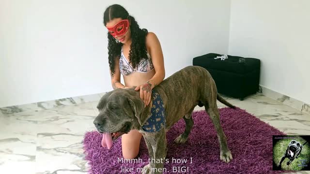 Filmes para Download xoxota fodas com animais Mulheres brasileiras trepam com garanhão Assista pornografia de bestialidade gratuita Mulher Transando Com Cachorro Zoofilia com uma loira gostosa