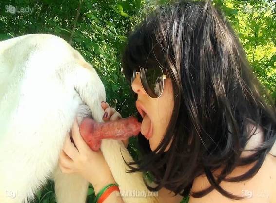 pinto de cavalo fodas com animais DVDs alisonprod Mulher batendo punheta pro cachorro Penetração Sexo com cachorro Pornografia de zoológico grátis ZOO pornô com animais. vídeos gratuitos de bestialidade