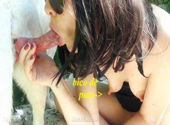 pinto de cavalo fodas com animais DVDs zoofilia selvagem ZOO pornô com animais. vídeos gratuitos de bestialidade mulher de quatro pro cachorro novinha gostosa brasileira dando a sua buceta para o cavalo