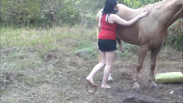 peluda  sexo com animais cabeluda zoofilia Raven having sex with Dog Cavalo de Pau Molhado e Mulher Chupando cachorro caralhudo comendo a buceta de loira melhores filmes de bestialidade de todos os tempos