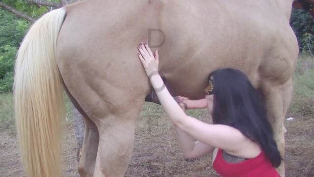 peluda  sexo com animais cabeluda zoofilia cavalo de pau duro Filme pornô com um enorme pau de cavalo Puta transando com um cavalo em pé ZOO pornô com animais. vídeos gratuitos de bestialidade