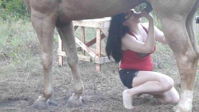 peluda  sexo com animais cabeluda zoofilia Penetração Sexo com cachorro Pornografia de zoológico grátis cavalo de pau duro porco comendo a buceta novinha gostosa brasileira dando a sua buceta para o cavalo