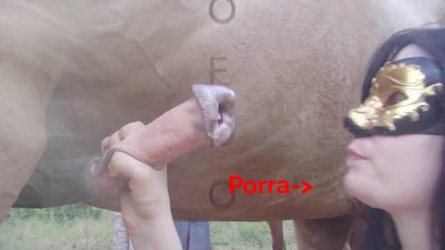 peluda  sexo com animais cabeluda zoofilia pornô zoofilia com oral Vídeo de sexo bestial grátis mulher de quatro no chiqueiro dando para um porco Mulher Negra chupando pica de cavalo