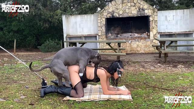 xoxota dogbond fodas com animais cavalo de pau duro Filmes Pornô Com Cachorros - Zoofilia Amadora namorada loira a transar com cavalo Mad GloryQuest Japones sexo com cachorro