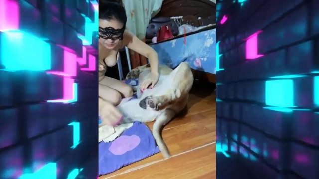 zoofilia dogbond Filmes para Download cavalo mete com força na buceta Filme pornô de zoofilia com uma mulher indiana mulher de quatro no chiqueiro dando para um porco melhores filmes de bestialidade de todos os tempos