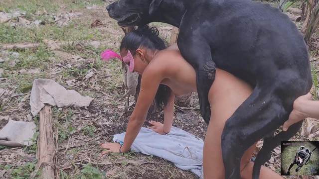 xoxota zoofilia cachorro gozando Nova tomando uma rolada de porco na vagina Raven, DogWoman, Alison, Yasmin, Gisele, Vixen, Cupcake, Lise, Sonia Zoofilia cavalo de pau duro Cavalo de Pau Molhado e Mulher Chupando