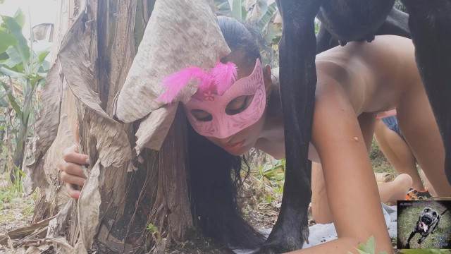 xoxota zoofilia cachorro gozando O javali gozador na buceta da garota nova cachorro caralhudo comendo a buceta de loira Mulher trepando com cavalão enquanto marido cornao assiste Cavalo gozando dentro da buceta de uma loira cavala