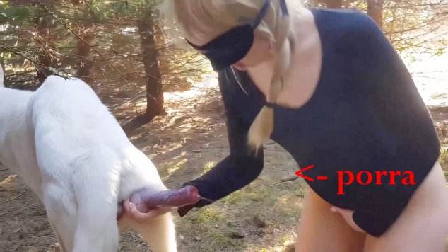 xoxota pinto de cavalo peluda  sexo com animais k9lady Mulher Negra chupando pica de cavalo Cavalo de Pau Molhado e Mulher Chupando Andy Private Caledonian ,ZOOdelight ,Zooskool ZOOSEX