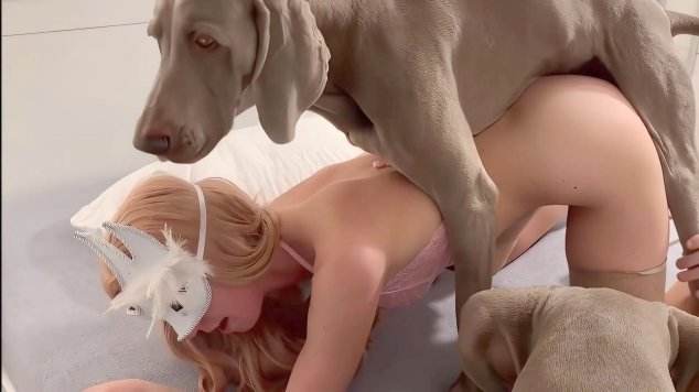 xoxota pinto de cavalo peluda  sexo com animais Filme pornô de zoofilia com uma mulher indiana Mia, Triana, Zaina, Valeria, Shantal, Lady Zoe, Andy, Xiomara Zoofilia Andy Private Caledonian ,ZOOdelight ,Zooskool ZOOSEX Cachorro comendo e gozando no cu da casada bunduda