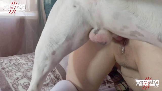 cabeluda Filmes para Download sexo bizarro novinha gostosa brasileira dando a sua buceta para o cavalo sexo bizarro Assista pornografia de bestialidade gratuita Porco comendo a bucetona da putona com tesão