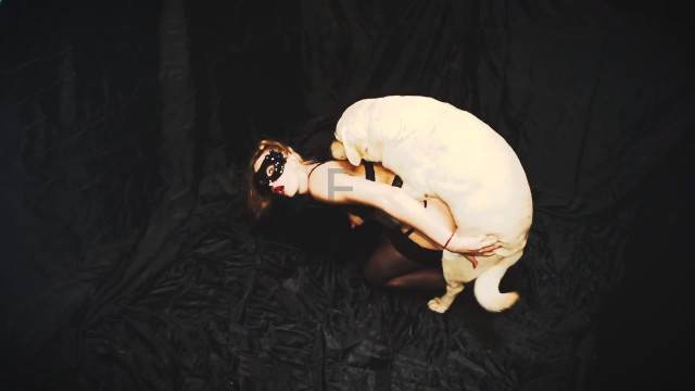 cabeluda DVDs zoofilia cachorro ejaculando alisonprod Zoofilia com uma loira gostosa Mulheres brasileiras trepam com garanhão