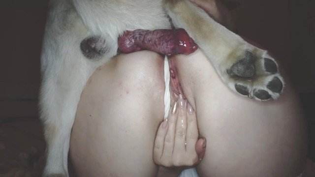 dogbond cachorro gozando peluda  sexo com animais filmes zoofiliade  brasileirinhas animal sexo tubo Seamless site de tubo de sexo zoo animal