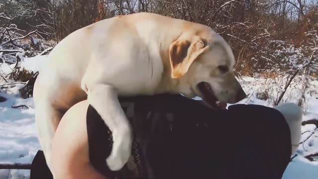 Filmes para Download xoxota fodas com animais Mulher trepando com cavalão enquanto marido cornao assiste animal sexo tubo Filmes Pornô Com Cachorros - Zoofilia Amadora cavalo gozando na buceta