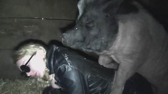 dogbond DVDs cachorro gozando Cachorro comendo o Cu da empregada Mulher Negra chupando pica de cavalo cachorro de pau duro Cavalo de Pau Molhado e Mulher Chupando