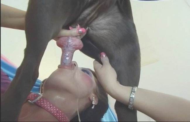 sexo bizarro Filmes para Download dogbond porco comendo a buceta Lise private club animalsex Cachorro comendo e gozando no cu da casada bunduda Cachorro fodendo com uma loira muito gostosa