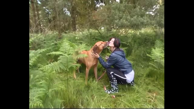 Filmes para Download xoxota fodas com animais cachorro comendo buceta Vídeo de sexo bestial grátis mulher chupando a pica do cachorro pornô zoofilia com oral