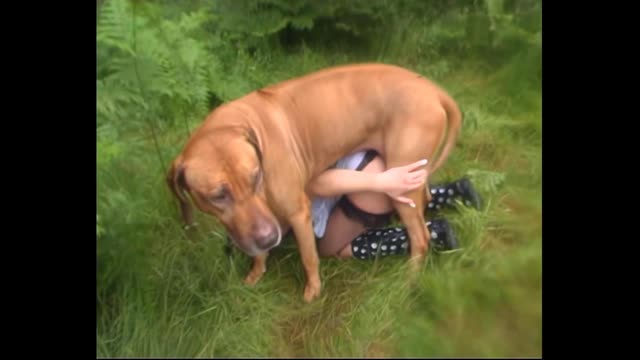 Filmes para Download xoxota fodas com animais zoofilia selvagem ZOO pornô com animais. vídeos gratuitos de bestialidade cavalo gozando na buceta filmes zoofiliade  brasileirinhas