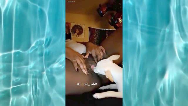 cachorro gozando Filmes para Download fodas com animais Assista pornografia de bestialidade gratuita Mulher trepando com cavalão enquanto marido cornao assiste cachorro de pau duro Pornô de cavalo gozando dentro de mulher