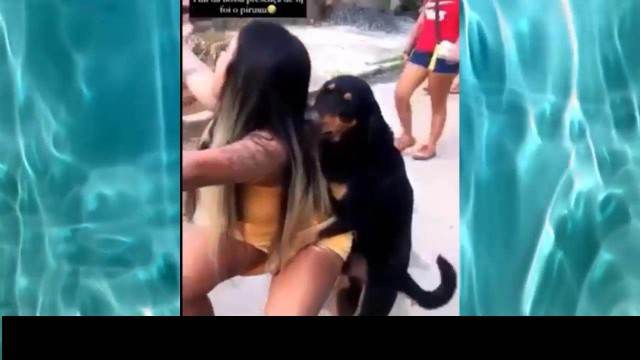 cachorro gozando Filmes para Download fodas com animais Nova tomando uma rolada de porco na vagina Cachorro comendo e gozando no cu da casada bunduda Vídeos porno de zoofilia con perros y caballos que follan a las chicas zoofílicas Cavalo de Pau Molhado e Mulher Chupando