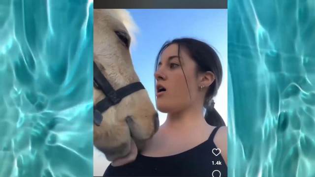 sexo bizarro peluda  sexo com animais zoofilia site de tubo de sexo zoo animal Assista pornografia de bestialidade gratuita porco comendo a buceta novinha gostosa brasileira dando a sua buceta para o cavalo
