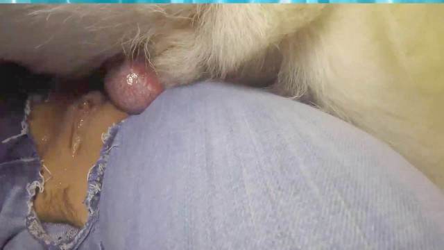 sexo bizarro peluda  sexo com animais zoofilia alisonprod filmes zoofiliade  brasileirinhas cavalo de pau duro Mad GloryQuest Japones sexo com cachorro