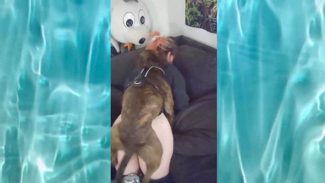 sexo bizarro peluda  sexo com animais zoofilia mulher de quatro no chiqueiro dando para um porco Cachorro comendo e gozando no cu da casada bunduda Penetração Sexo com cachorro Pornografia de zoológico grátis Andy Private Caledonian ,ZOOdelight ,Zooskool ZOOSEX