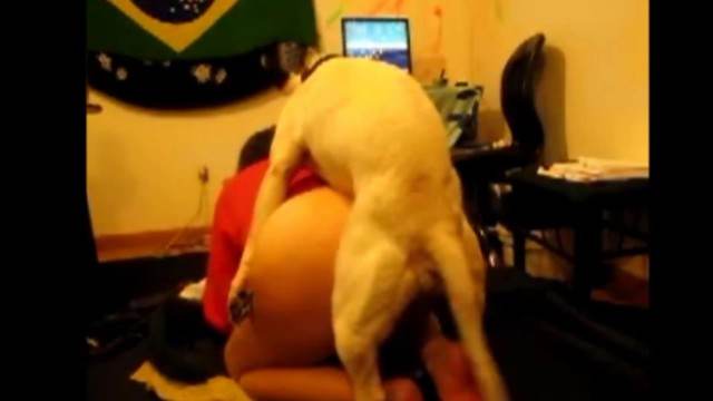 sexo bizarro peluda  sexo com animais dogbond cachorro comendo buceta animal sexo tubo cavalo gozando na buceta sexo com cavalos e uma MILF