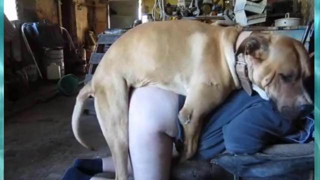 fodas com animais Filmes para Download peluda  sexo com animais Assista pornografia de bestialidade gratuita mulher de quatro no chiqueiro dando para um porco Mulher batendo punheta pro cachorro melhores filmes de bestialidade de todos os tempos